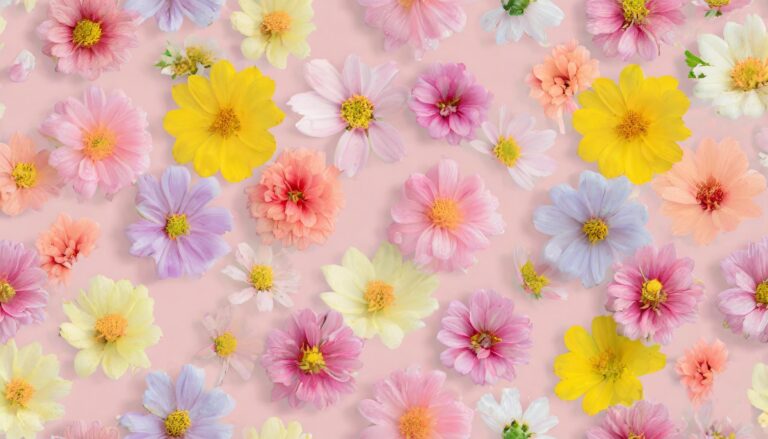 たくさんの花（ピンク）