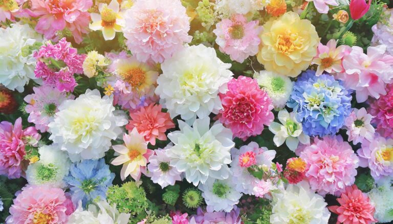 カラフルな花